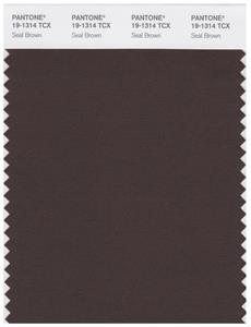 Pantone Smart 19-1314 TCX Color Swatch Card | Seal Brown 