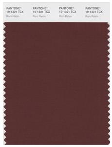 Pantone Smart 19-1321 TCX Color Swatch Card | Rum Raisin 