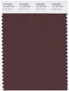 Pantone Smart 19-1322 TCX Color Swatch Card | Brown Stone 