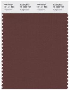 Pantone Smart 19-1434 TCX Color Swatch Card | Fudgesickle 