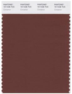 Pantone Smart 19-1436 TCX Color Swatch Card | Cinnamon 