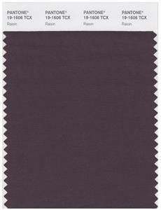 Pantone Smart 19-1606 TCX Color Swatch Card | Raisin 