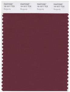 Pantone Smart 19-1617 TCX Color Swatch Card | Burgundy 