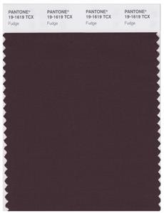 Pantone Smart 19-1619 TCX Color Swatch Card | Fudge 