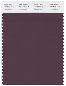 Pantone Smart 19-1620 TCX Color Swatch Card | Huckleberry 