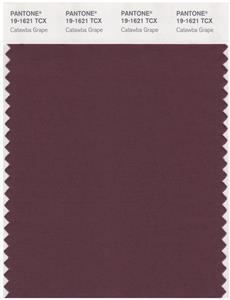 Pantone Smart 19-1621 TCX Color Swatch Card | Cataw Grape 