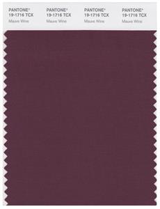 Pantone Smart 19-1716 TCX Color Swatch Card | Mauve Wine 