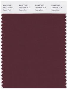 Pantone Smart 19-1725 TCX Color Swatch Card | Tawny Port 