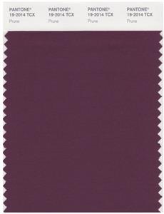 Pantone Smart 19-2014 TCX Color Swatch Card | Prune 