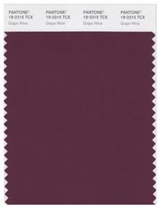 Pantone Smart 19-2315 TCX Color Swatch Card | Grape Wine 