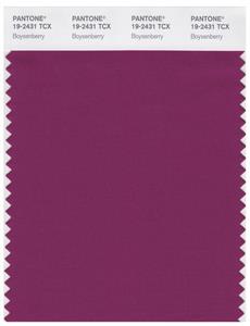 Pantone Smart 19-2431 TCX Color Swatch Card | Boysenberry 