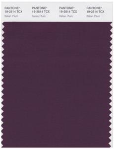 Pantone Smart 19-2514 TCX Color Swatch Card | Italian Plum 