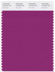 Pantone Smart 19-2630 TCX Color Swatch Card | Wild Aster 