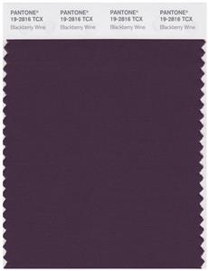 Pantone Smart 19-2816 TCX Color Swatch Card | Blackberry Wine 