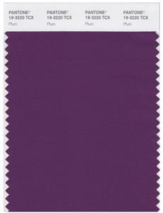 Pantone Smart 19-3220 TCX Color Swatch Card | Plum 