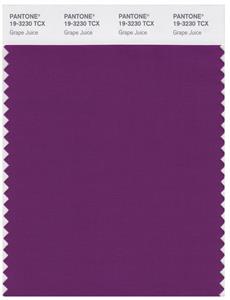 Pantone Smart 19-3230 TCX Color Swatch Card | Grape Juice 