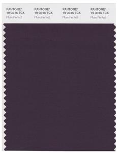 Pantone Smart 19-3316 TCX Color Swatch Card | Plum Perfect 