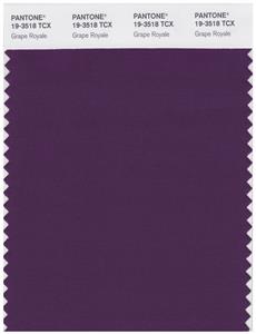 Pantone Smart 19-3518 TCX Color Swatch Card | Grape Royale 