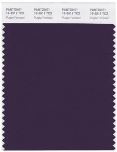 Pantone Smart 19-3519 TCX Color Swatch Card | Purple Pennant 