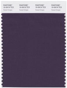 Pantone Smart 19-3619 TCX Color Swatch Card | Sweet Grape 