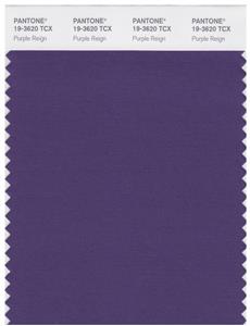 Pantone Smart 19-3620 TCX Color Swatch Card | Purple Reign 