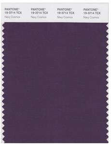 Pantone Smart 19-3714 TCX Color Swatch Card | Navy Cosmos 