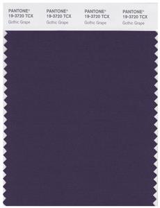 Pantone Smart 19-3720 TCX Color Swatch Card | Gothic Grape 