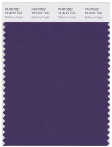 Pantone Smart 19-3722 TCX Color Swatch Card | Mulberry Purple 