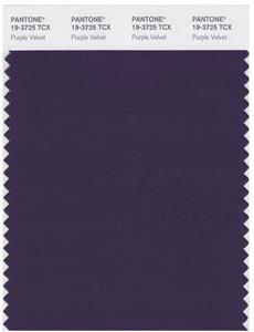 Pantone Smart 19-3725 TCX Color Swatch Card | Purple Velvet 