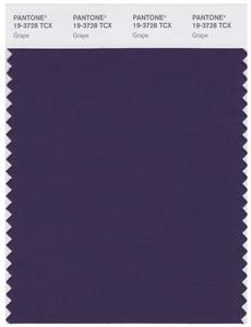 Pantone Smart 19-3728 TCX Color Swatch Card | Grape 