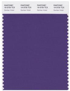 Pantone Smart 19-3730 TCX Color Swatch Card | Gentian Violet 