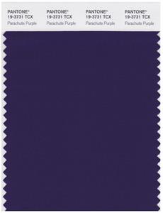 Pantone Smart 19-3731 TCX Color Swatch Card | Parachute Purple 