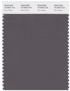 Pantone Smart 19-3803 TCX Color Swatch Card | Plum Kitten 