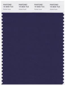 Pantone Smart 19-3830 TCX Color Swatch Card | Astral Aura 