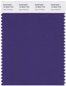 Pantone Smart 19-3842 TCX Color Swatch Card | Deep Wisteria 