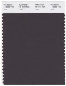 Pantone Smart 19-3903 TCX Color Swatch Card | Shale 