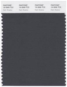 Pantone Smart 19-3906 TCX Color Swatch Card | Dark shadow 