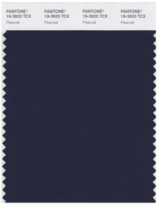 Pantone Smart 19-3920 TCX Color Swatch Card | Peacoat 