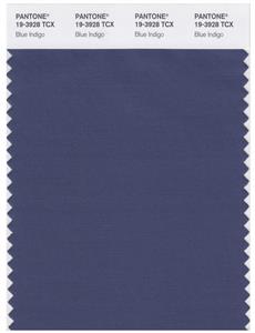 Pantone Smart 19-3928 TCX Color Swatch Card | Blue Indigo 