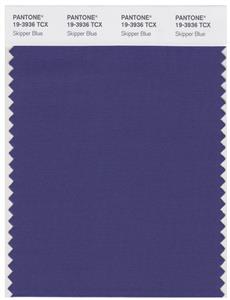 Pantone Smart 19-3936 TCX Color Swatch Card | Skipper Blue 