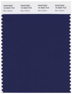 Pantone Smart 19-3940 TCX Color Swatch Card | Blue Depths 