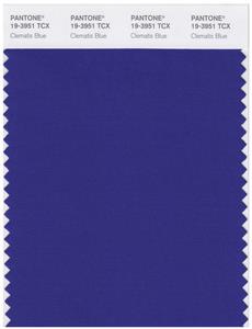 Pantone Smart 19-3951 TCX Color Swatch Card | Celmatis Blue 