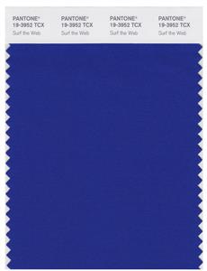 Pantone Smart 19-3952 TCX Color Swatch Card | Surf The Web 