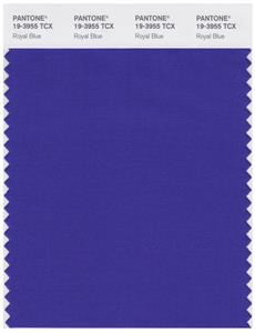 Pantone Smart 19-3955 TCX Color Swatch Card | Royal Blue 