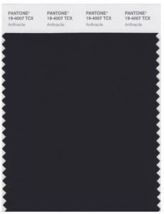 Pantone Smart 19-4007 TCX Color Swatch Card | Anthracite 