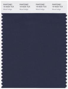 Pantone Smart 19-4025 TCX Color Swatch Card | Mood Indigo 