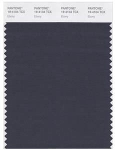 Pantone Smart 19-4104 TCX Color Swatch Card | Ebony 