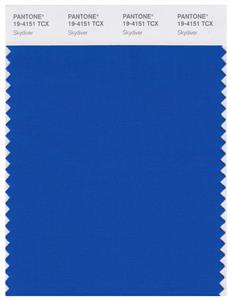 Pantone Smart 19-4151 TCX Color Swatch Card | Skydiver 