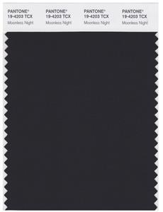 Pantone Smart 19-4203 TCX Color Swatch Card | Moonless Night 