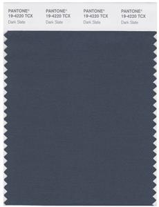 Pantone Smart 19-4220 TCX Color Swatch Card | Dark Slate 